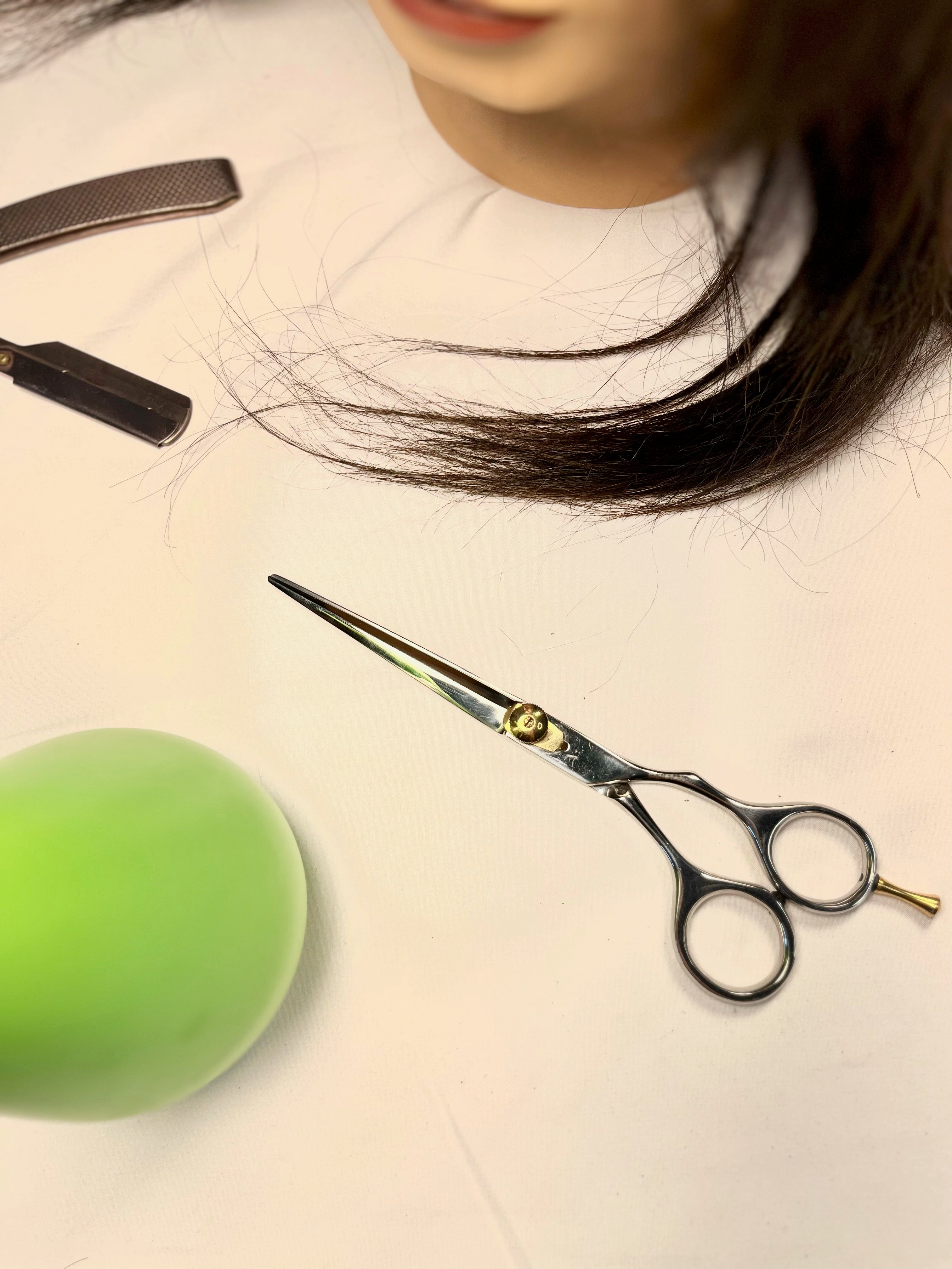 Left Handed Shears