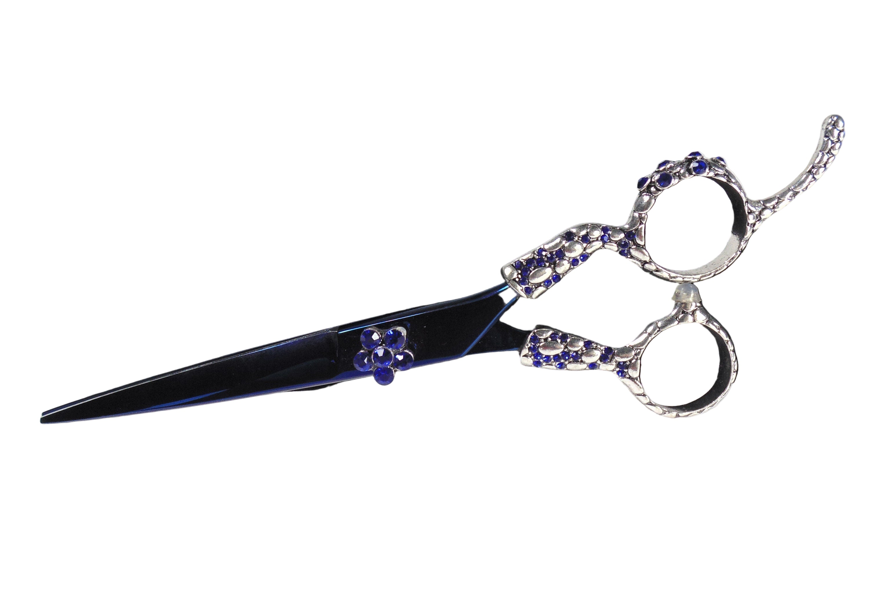 Stainless Steel Shears