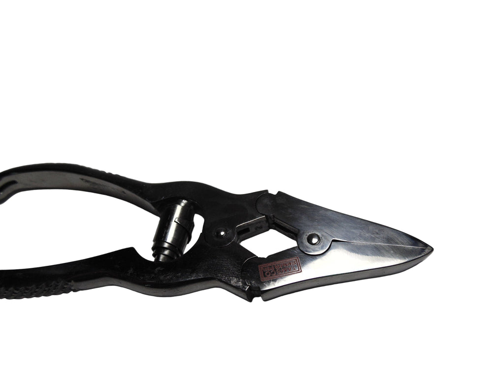 Podiatrist Nail Nipper