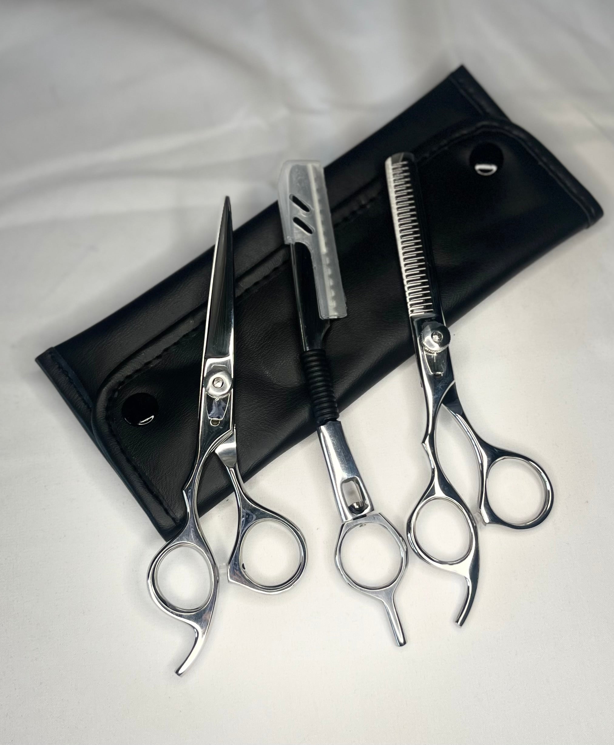 Hair Shears Set