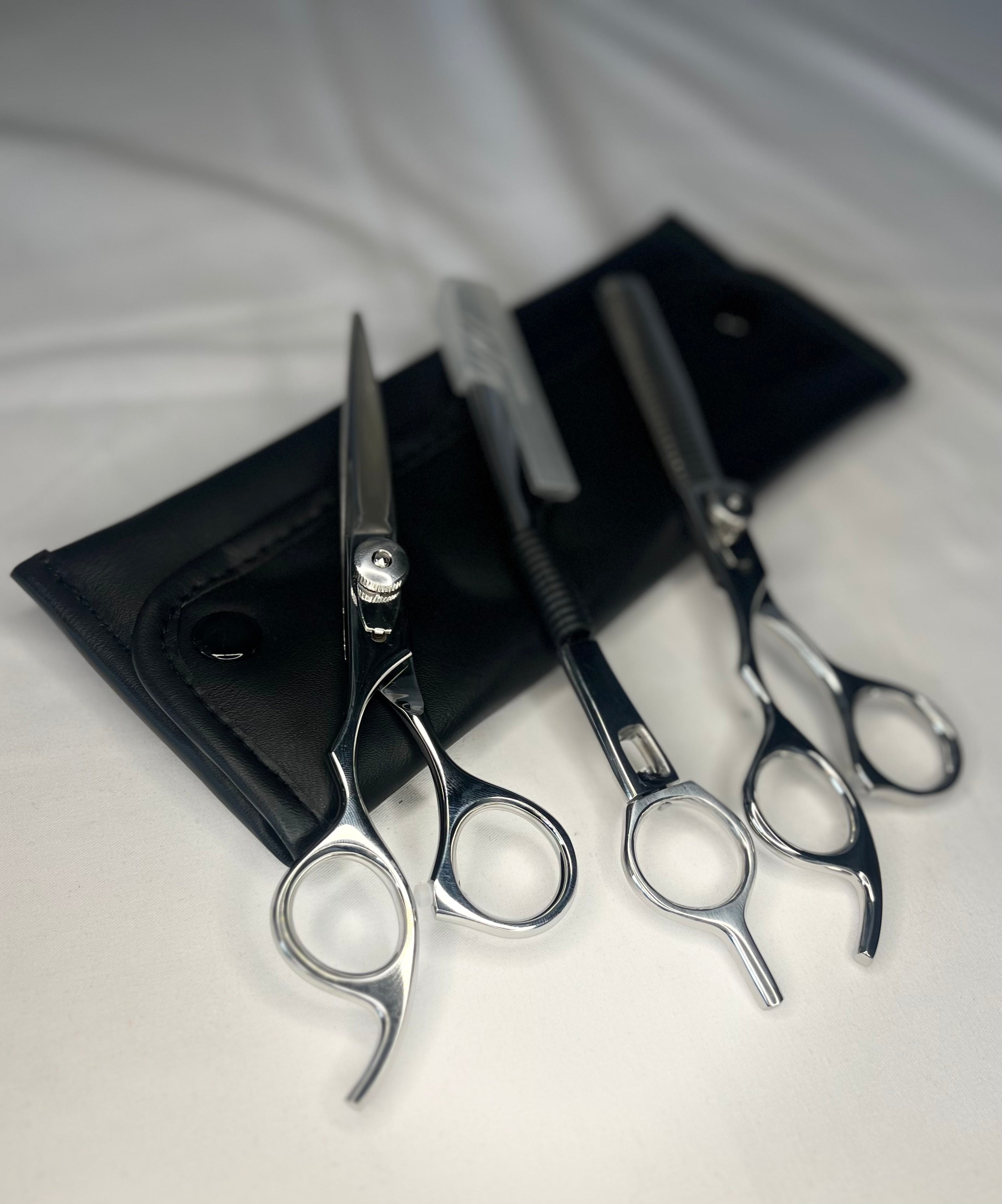 Hair Shears Set