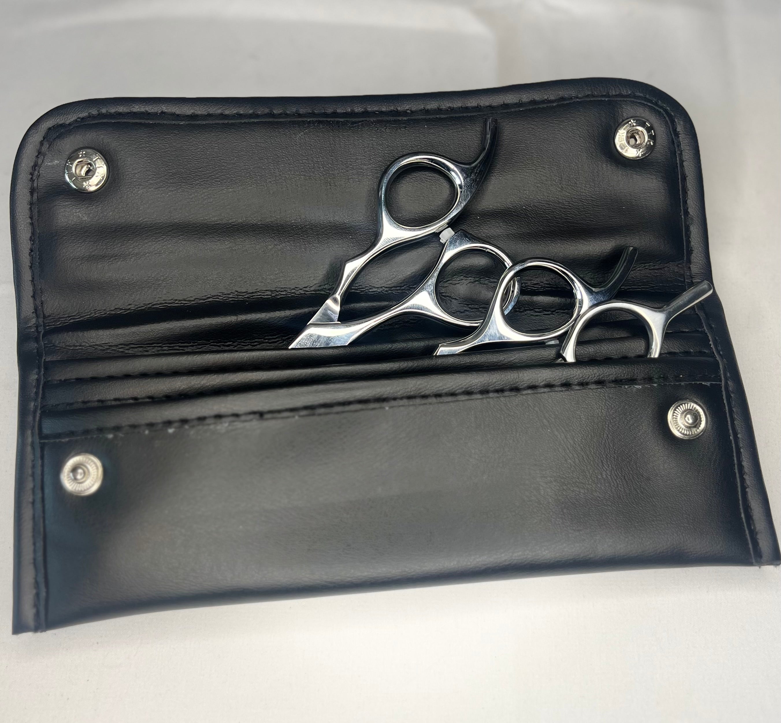 Hair Shears Set