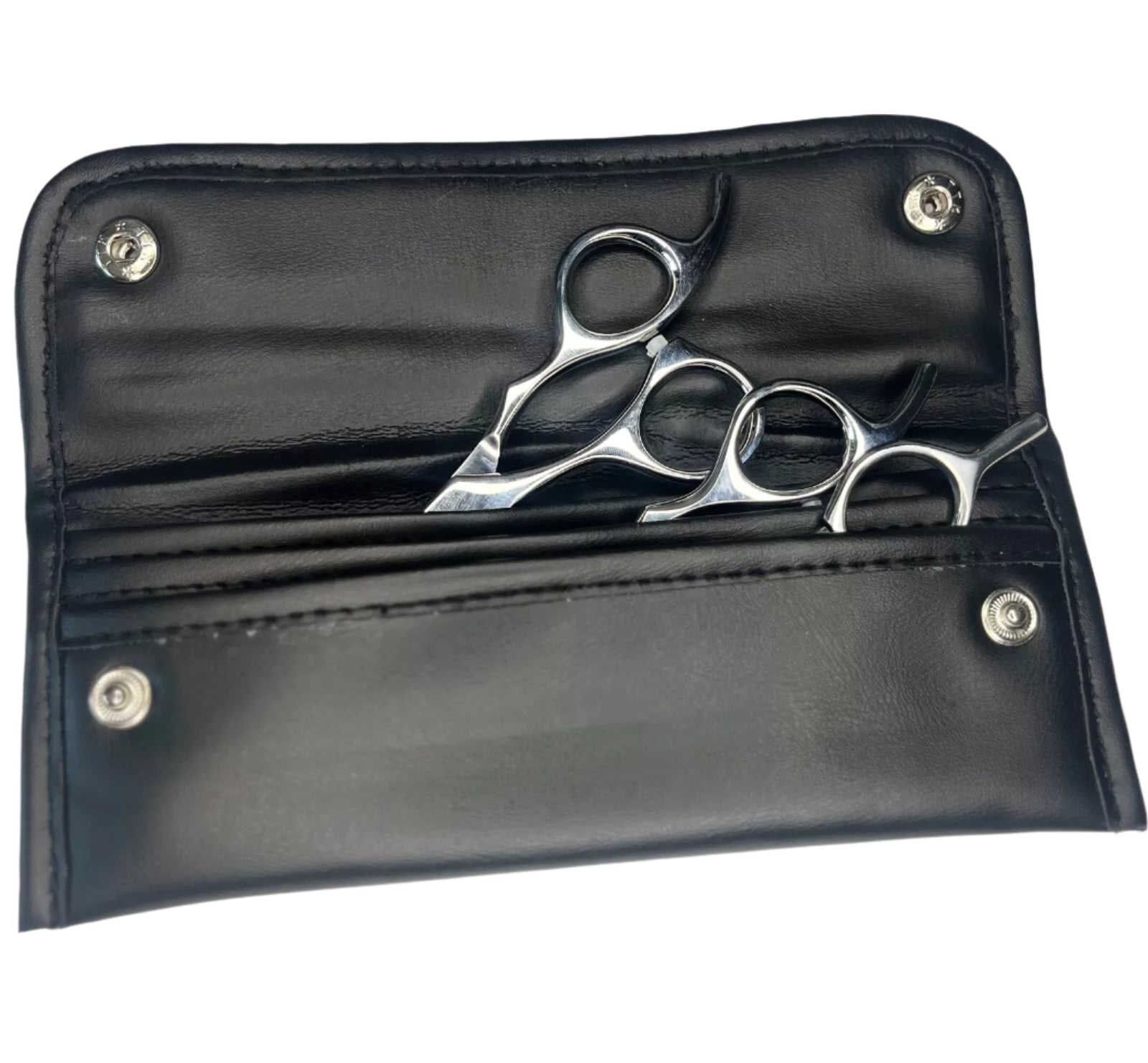 Professional Hair Shears