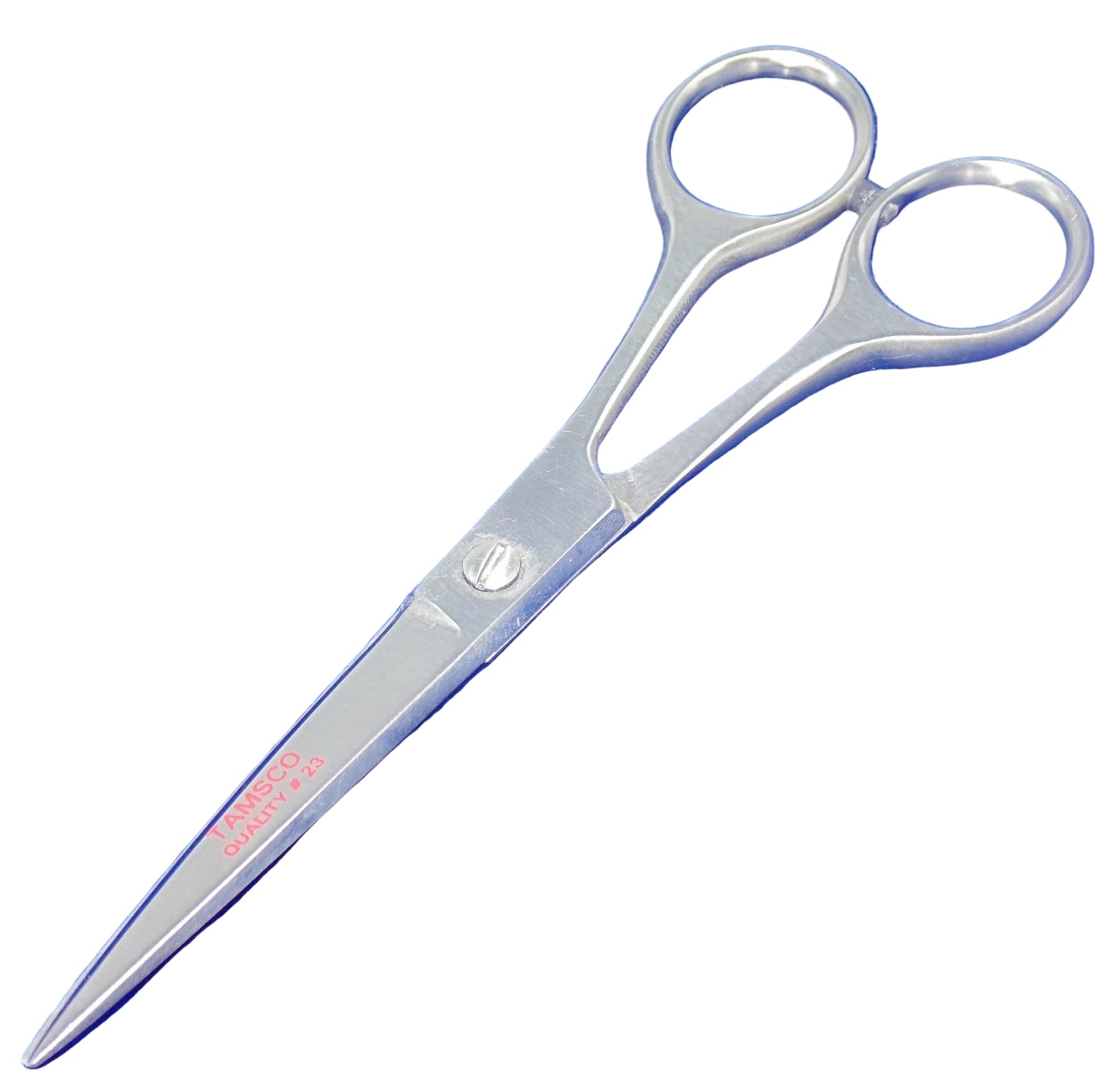 Stainless Steel Scissors